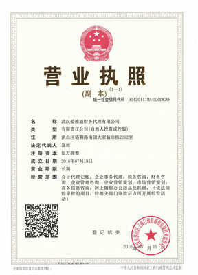 武漢愛(ài)維迪財(cái)務(wù)代理