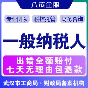 武漢公司注冊(cè),代理記賬,稅務(wù)咨詢
